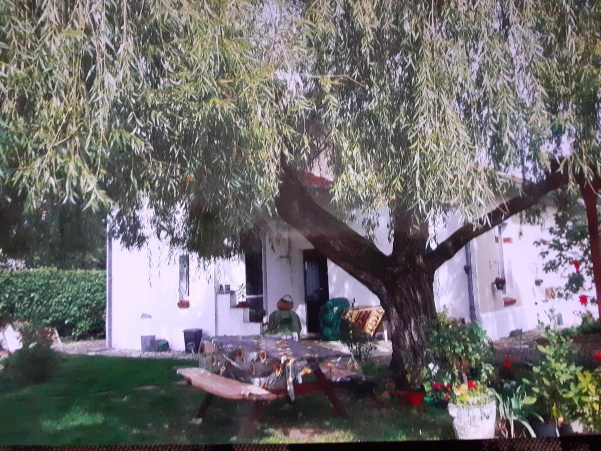 Hotel Peti Kaz Saint-Seurin-sur-l'Isle Exterior foto